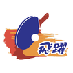”飛躍乒乓球訓練學院