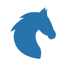 HK Racing Ace APK