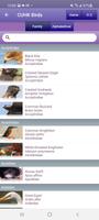 CU Birds ภาพหน้าจอ 1