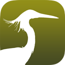 Common Birds of Hong Kong APK