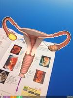 Mastering Biology AR পোস্টার