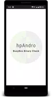 BusyBox Binary Check poster