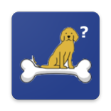 Animais Perdidos ou Adoção