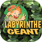 Labyrinthe 아이콘