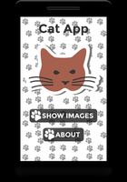 Cat App Plakat