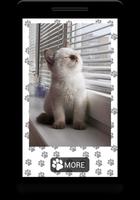 Cat App スクリーンショット 2