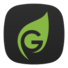 Go Green Taxi Split icône