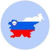 Slovenian Thesaurus APK
