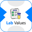 Lab Values with Interpretation