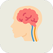 Nervous System Physiology 圖標
