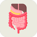 Digestive System
