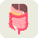 Digestive System APK