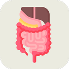 Icona Digestive System