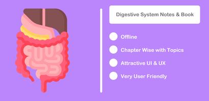 Digestive System Affiche