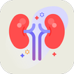 Renal  and Skin Physiology