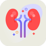 Renal  and Skin Physiology biểu tượng