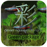 ＜熱帯魚＞smart AQUARIUM images