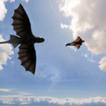 HTTYD live wallpaper icon