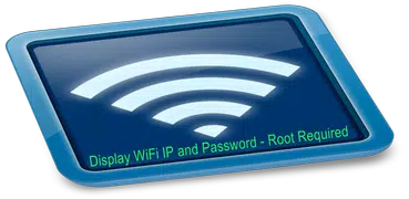 WiFi Password, IP, DNS
