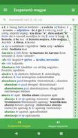 Eszperantó-magyar szótár Affiche