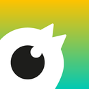 Birdie Driver APK