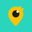 6x6 by Birdie icon
