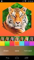 Image Shape Pro скриншот 2