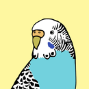 Budgiegenex APK