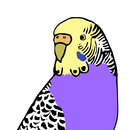 Budgiegenex Pro APK