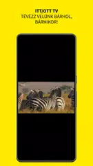 IttOtt Tv XAPK download