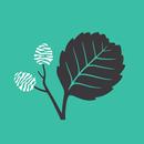 APK Elődeink élete - Audioguide