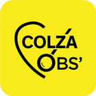 Colza Obs' ikon