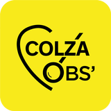 Colza Obs' ikona