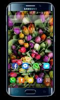 Launcher Theme for Huawei P30 Cartaz