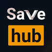 Save Hub Video Downloader