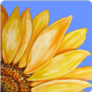 gallery vault apk ~ oneplus ga APK