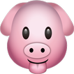 Hungry Pig : puzzle game