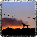 Hunting And Fishing