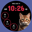 CuteCat WF Premium by HuskyDEV APK
