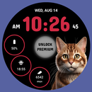 CuteCat WF by HuskyDEV APK