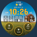 Weather Watch Face by HuskyDEV APK