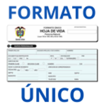 Formato único | hoja de vida