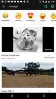 Videos do Zap Affiche