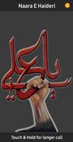 Naara E Haideri الملصق