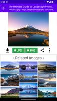 Image Search Image Downloader ảnh chụp màn hình 1