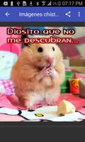 Imágenes graciosas. Gratis screenshot 2