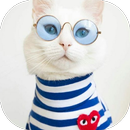 Imágenes divertidas para reír APK