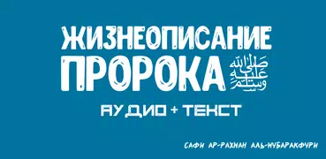 Жизнеописание Мухаммада ﷺ