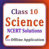 Class 10 Science for 2024-25