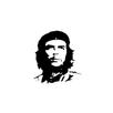 Che Guevara - A Biography APK
